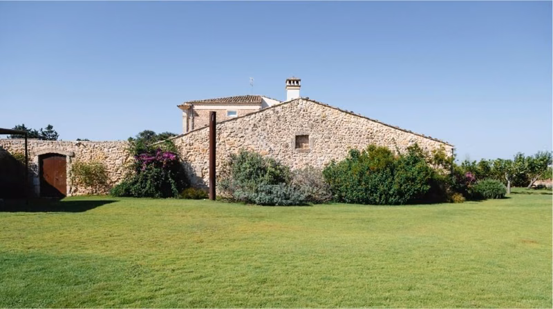 Vinos de la bodega: Occhipinti
