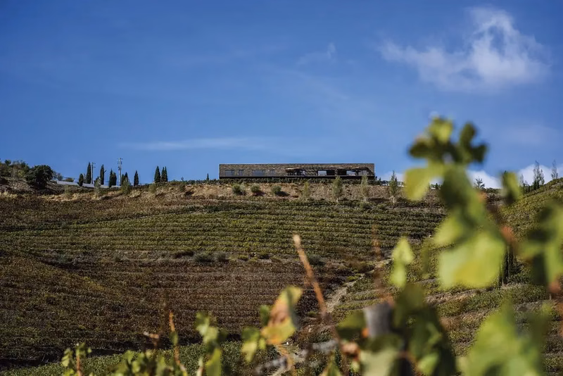 Vinos de la bodega: Aveleda
