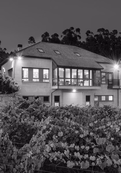 Vinos de la bodega: Adega de Eidos