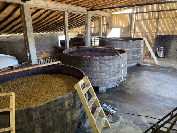 Vinos de la bodega: Cacique Maravilla